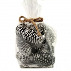 Pinecones Çam Kozalağı