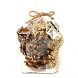 Pinecones Çam Kozalağı