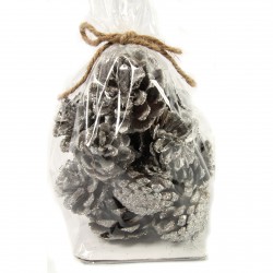 Pinecones Çam Kozalağı